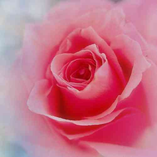 حسین رحمانی من شکستم من بریدم بعد تو نامهربون